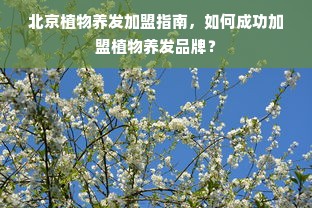 京东白条额度如何套出来商家，京东白条总额度怎么分期