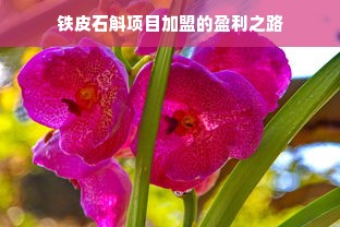 2023年油漆铝粉十大品牌排行榜及选购指南