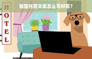 揭秘京东白条额度的奥秘，如何套现及限额原因
