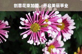 揭秘DV化妆品品牌，品质、口碑与影响力的完美结合