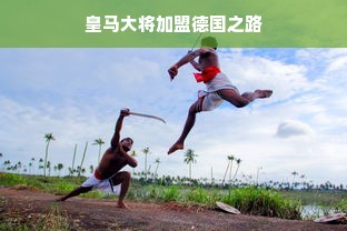 羊小咩便荔卡额度提现与查看攻略，一步步教你操作，轻松掌握技巧