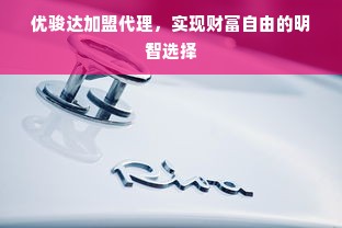 邯郸套出来微信分付，深度解析与实用指南