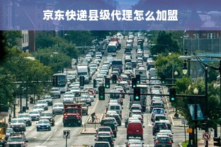 舞蹈压脚器材全解析，品牌、选择技巧与实战案例