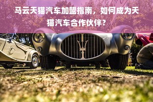 约瑟芬干洗加盟全攻略，加盟费、扶持政策与真实案例大揭秘