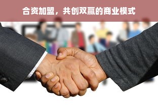京东白条额度套现攻略，如何安全高效地利用京东白条进行资金周转