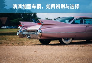 青梅酒配白酒推荐指南，清爽与醇厚的完美碰撞