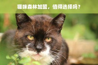 母婴品牌源头，探寻品质，守护新生