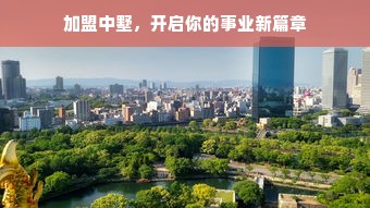羊小咩便荔卡包额度问题解析，如何提高与理解额度低的原因