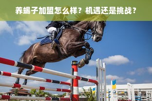 桃多多桃享卡，额度提现的秘密武器，最高额度揭秘！