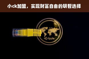 小ck加盟，实现财富自由的明智选择