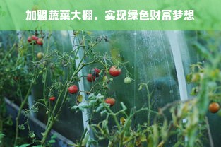 wx母婴品牌，品质之选，母婴呵护的贴心守护者