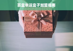 盲盒幸运盒子加盟指南