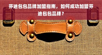 芬迪包包品牌加盟指南，如何成功加盟芬迪包包品牌？