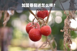 江浙汉服产业地图，从传统到现代的服饰复兴之路