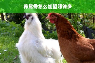 品牌母婴凉鞋，选购、体验与信赖之选