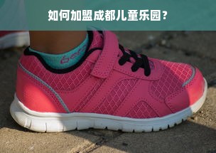 如何加盟成都儿童乐园？