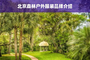 干洗品牌UCC的含义及特点解析