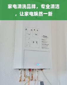 家电清洗品牌，专业清洁，让家电焕然一新