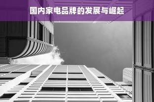 国内家电品牌的发展与崛起