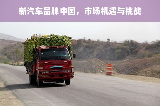 新汽车品牌中国，市场机遇与挑战
