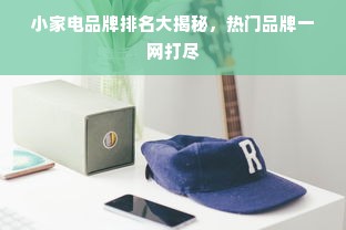 小家电品牌排名大揭秘，热门品牌一网打尽