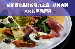 成都餐饮品牌的魅力之旅，从美食到文化的深度解读
