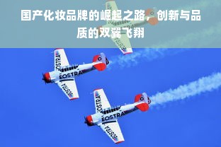 海南餐饮品牌投资代理全解析