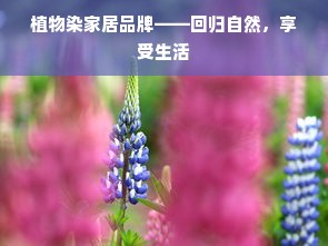 植物染家居品牌——回归自然，享受生活