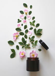 化妆品品牌大全名字，美丽背后的故事
