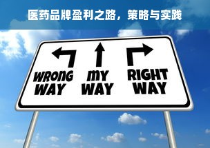 医药品牌盈利之路，策略与实践