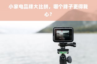 小家电品牌大比拼，哪个牌子更得我心？