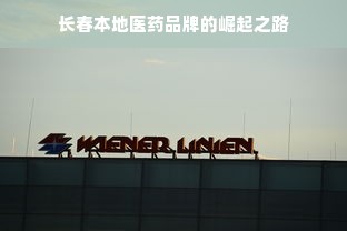 长春本地医药品牌的崛起之路
