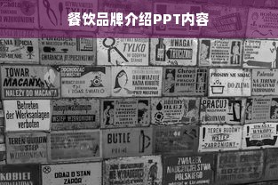 餐饮品牌介绍PPT内容