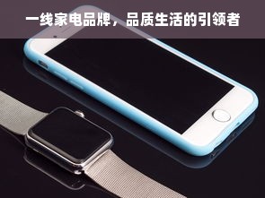 一线家电品牌，品质生活的引领者