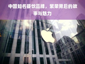 中国知名餐饮品牌，繁荣背后的故事与魅力