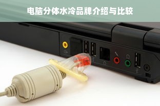 白条冻结了，怎么办？