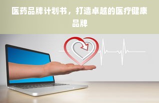 医药品牌计划书，打造卓越的医疗健康品牌