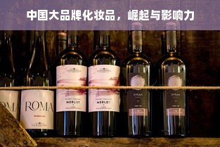 中国大品牌化妆品，崛起与影响力