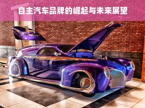 自主汽车品牌的崛起与未来展望
