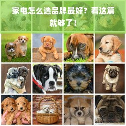 家电怎么选品牌最好？看这篇就够了！