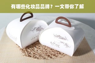有哪些化妆品品牌？一文带你了解