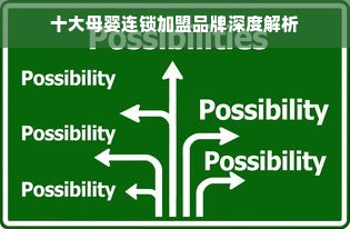 十大母婴连锁加盟品牌深度解析
