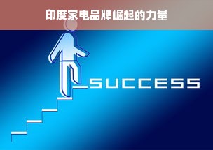 印度家电品牌崛起的力量