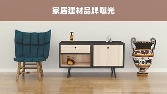 家居建材品牌曝光