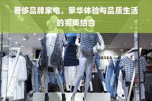 奢侈品牌家电，豪华体验与品质生活的完美结合