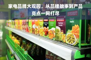 家电品牌大观园，从品牌故事到产品亮点一网打尽