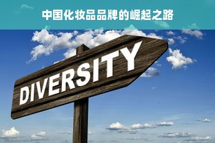 中国化妆品品牌的崛起之路