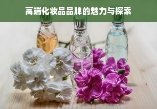 高端化妆品品牌的魅力与探索
