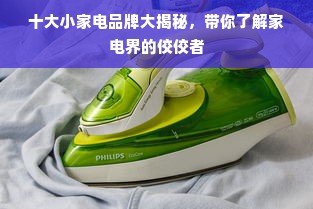 十大小家电品牌大揭秘，带你了解家电界的佼佼者