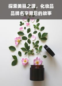 探索美丽之源，化妆品品牌名字背后的故事